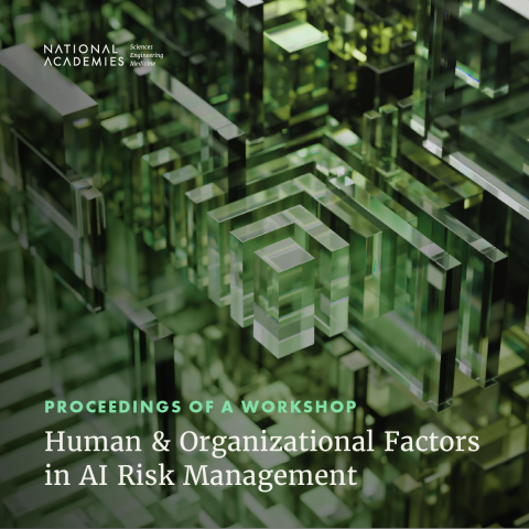 Cover graphic of the "Human and Organizational Factors in AI Risk Management: Proceedings of a Workshop" publication.